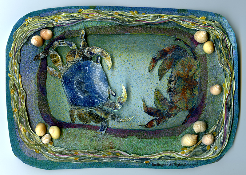 Tidal Pool #2